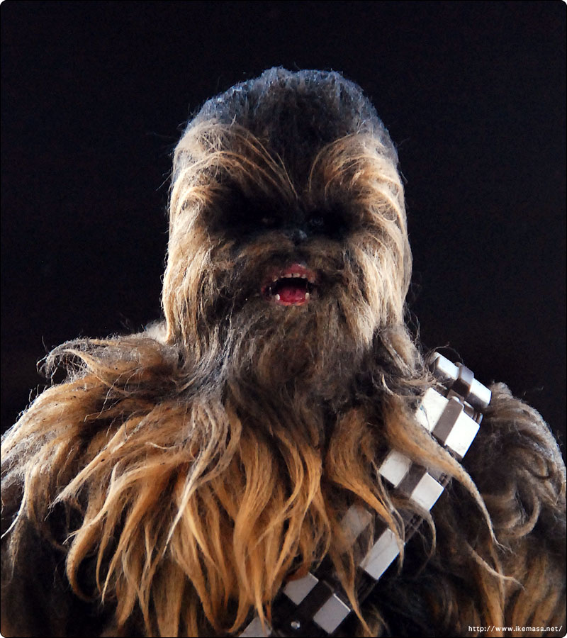 模型ギャラリー写真