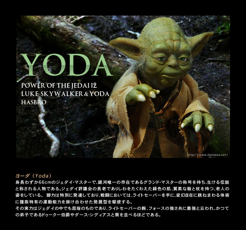 模型ギャラリー写真